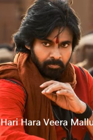 Hari Hara Veera Mallu